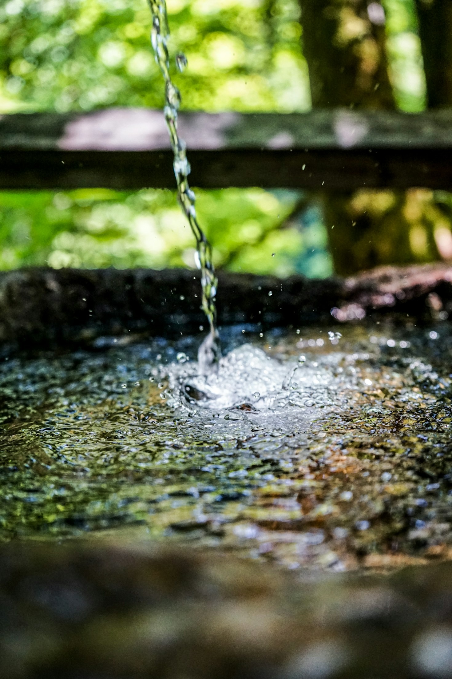 PFAS i vår miljö – vad säger forskningen?